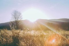 <strong>其Charm eStrip™串珠系列专</strong>