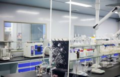 确保产品合法进入全球主