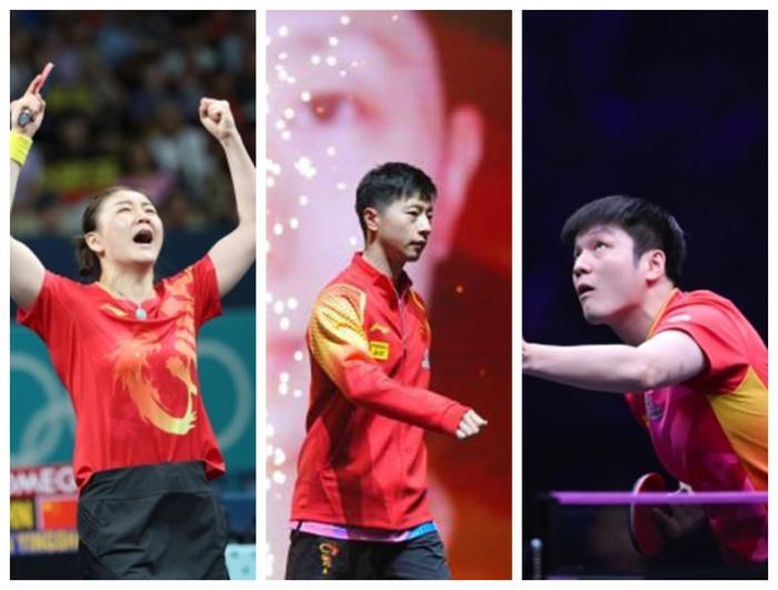 樊振东陈梦退出国际乒联排名引争议 WTT处罚规则